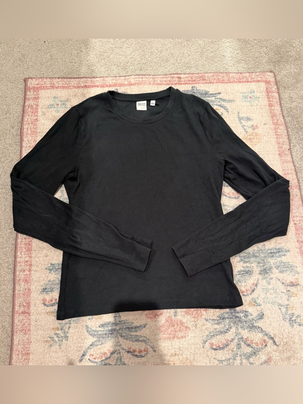 Aritzia Homestretch long sleeve t shirt in Mineral Green